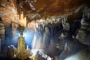 02_zdivocela_zeme 02_zdivocela_zeme