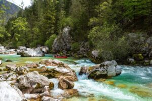 03_zdivocela_zeme 03_zdivocela_zeme