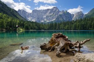 09_Gran_Paradiso 09_Gran_Paradiso