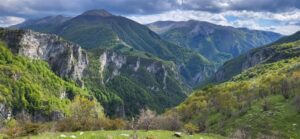 10_zdivocela_zeme 10_zdivocela_zeme