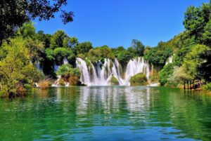 16_zdivocela_zeme 16_zdivocela_zeme