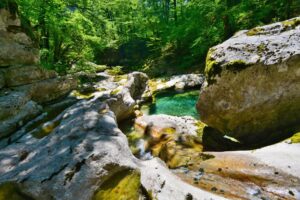 17_zdivocela_zeme 17_zdivocela_zeme