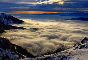 20_zdivocela_zeme 20_zdivocela_zeme