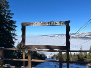 22_zdivocela_zeme 22_zdivocela_zeme