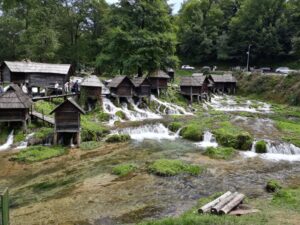 25_zdivocela_zeme 25_zdivocela_zeme