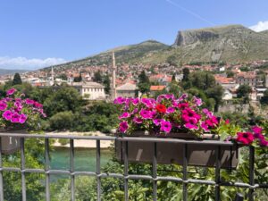 41_zdivocela_zeme 41_zdivocela_zeme