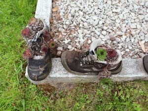 43_motyli_jezera 43_motyli_jezera