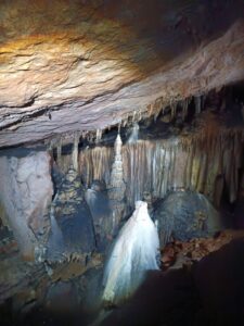 44_zdivocela_zeme 44_zdivocela_zeme