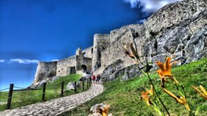 46_Gran_Paradiso 46_Gran_Paradiso