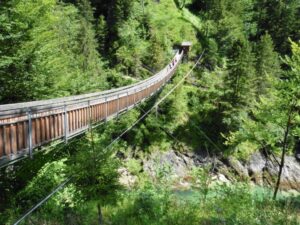 48_zdivocela_zeme 48_zdivocela_zeme