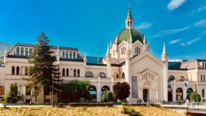 53_zdivocela_zeme 53_zdivocela_zeme