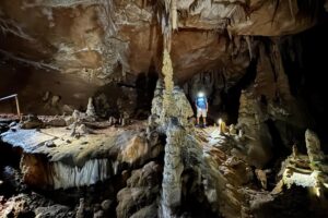 59_zdivocela_zeme 59_zdivocela_zeme