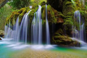 60_zdivocela_zeme 60_zdivocela_zeme