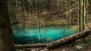 Draculova_Transylvanie (13)