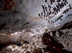 Draculova_Transylvanie (24)