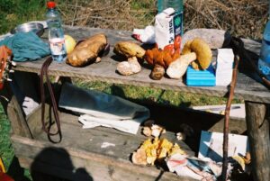 Draculova_Transylvanie (28)