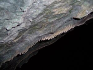 Draculova_Transylvanie (29)