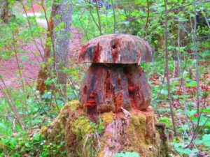 Draculova_Transylvanie (34)